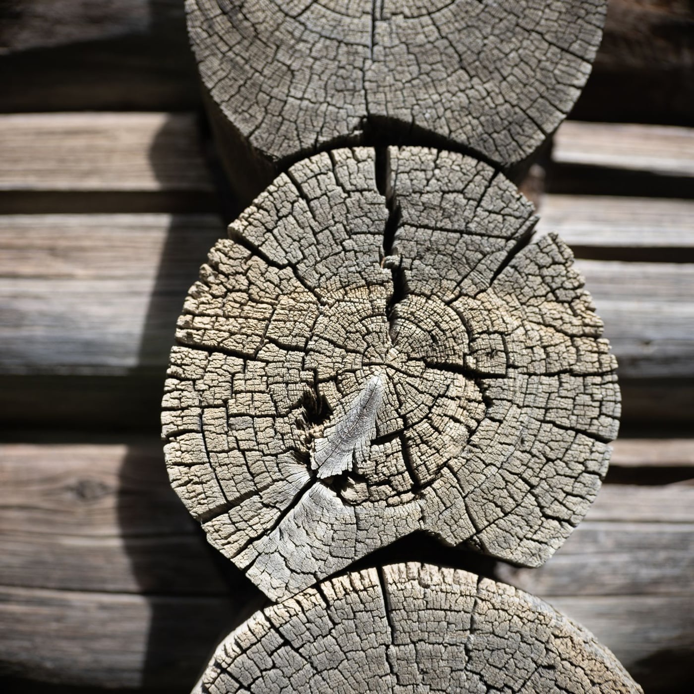 Macro shot of high-quality spruce wood grain used for instrument soundboards.